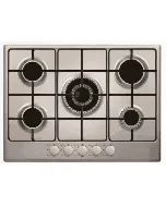 Plaque de cuisson 5 feux Inox